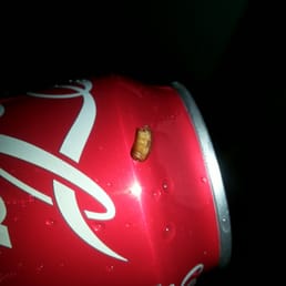 Roach egg found in bag along with my food. Roach egg found in bag along with my food.