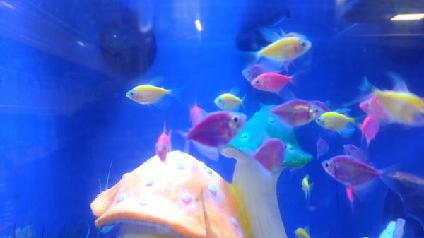 2860 Bentall Street, Vancouver, BC 