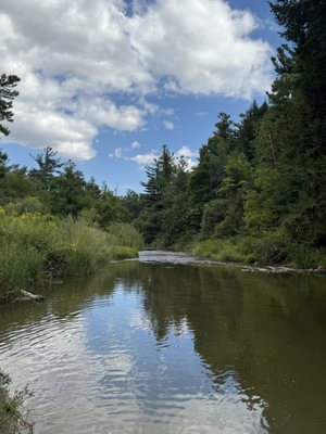 Boyd Conservation Park by null