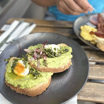 Lost Parrot Cafe - Avocado toast - Breakfast & Brunch Near Me - South Pasadena, California Lost Parrot Cafe - Avocado toast - Breakfast & Brunch Near Me - South Pasadena, California