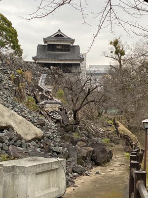 Kumamoto Castle by null