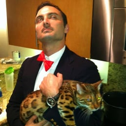 Cat # 1 Cat # 1