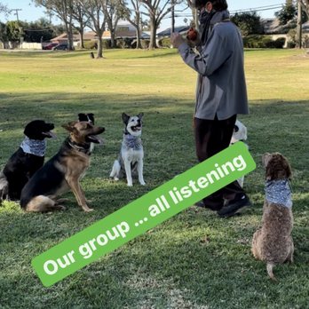 SoCal Dog Training - Everyone listening to Vladae - Pet Training Near Me - Newport Beach, California SoCal Dog Training - Everyone listening to Vladae - Pet Training Near Me - Newport Beach, California