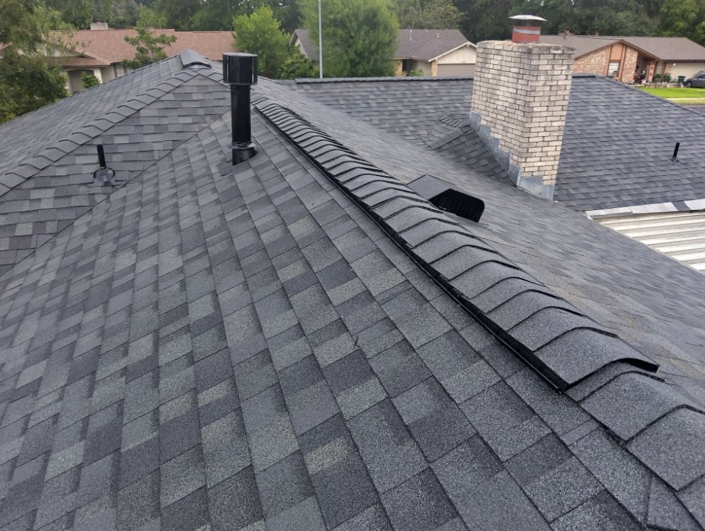 Slide of The Roof Goose