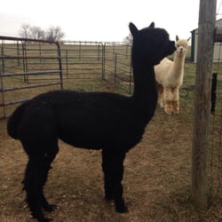 Columbia Creek Farms