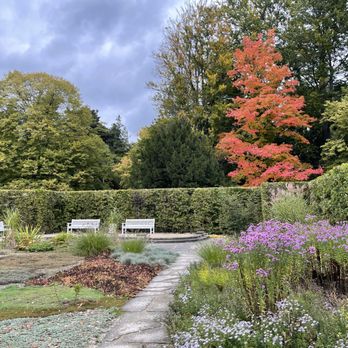 Park Pillnitz - Parks Near Me - Dresden, SN