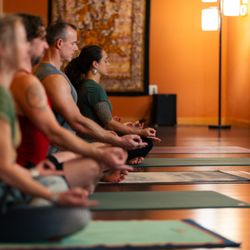 Mystic Monkey Yoga