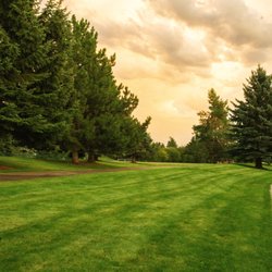 AAA Lawn Care - Common area mowing