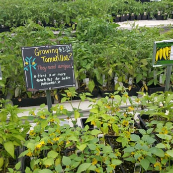 Tony's Garden Center - Nurseries & Gardening Near Me - Portland, Oregon Tony's Garden Center - Nurseries & Gardening Near Me - Portland, Oregon