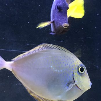 Pet Express - Local Fish Stores Near Me - Houma, Louisiana Pet Express - Local Fish Stores Near Me - Houma, Louisiana