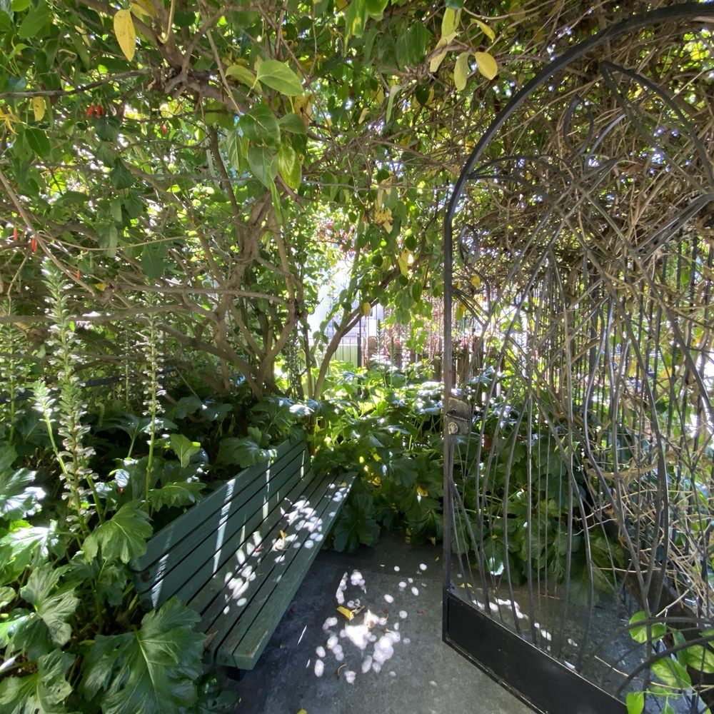 Sunnyside Conservatory - Parks Near Me - San Francisco, California