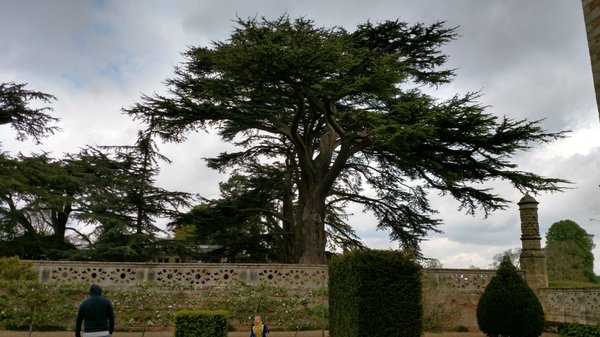 Charlecote Park by null