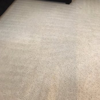 Carpet Monkey - Best carpet cleaning we've ever had! Amazing service and beautiful results. Highly recommended - Carpet Cleaning Near Me