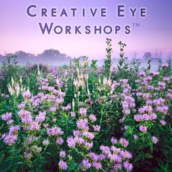 Creative Eye Workshops - Creative Eye Workshops: Photography classes where you build confidence and learn to photograph the things you love most!