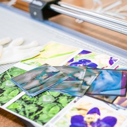 Light Rider Studios - Images trimmed to your specifications
( hand-made cards by Koa A. Tom--have your own made !)