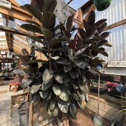 Deaton's Nursery & Greenhse