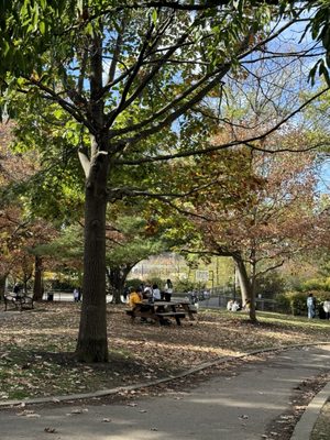 Schuylkill River Park by null
