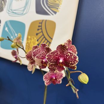 Beyond Beauty - Love the vibe at Beyond Beauty! - Hair Salons Near Me - South Jordan, Utah Beyond Beauty - Love the vibe at Beyond Beauty! - Hair Salons Near Me - South Jordan, Utah