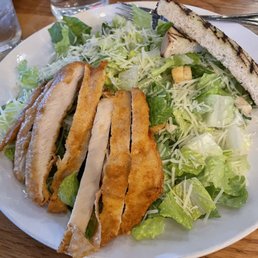 Chicken Caesar Salad