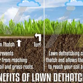 Rectify Home Solutions - the benefits of lawn thothing - Lawn Services Near Me Rectify Home Solutions - the benefits of lawn thothing - Lawn Services Near Me
