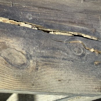 Next Level Home Inspections - Subterranean termite damage - Home Inspectors Near Me - Jacksonville, Florida Next Level Home Inspections - Subterranean termite damage - Home Inspectors Near Me - Jacksonville, Florida