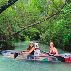 Get Up And Go Kayaking - Rainbow Springs