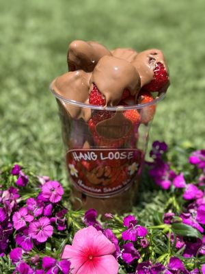 Hang Loose Hawaiian Shave Ice by null