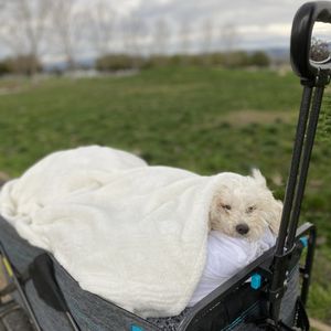 Martial Cottle Park on Yelp