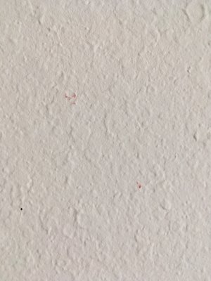 The Huntington by null