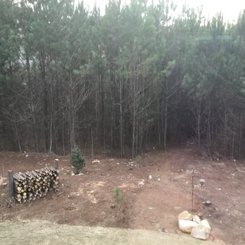 A & B Landscaping - a pile of firewood in the woods - Tree Services Near Me - Fayetteville, Georgia A & B Landscaping - a pile of firewood in the woods - Tree Services Near Me - Fayetteville, Georgia