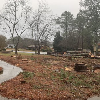Lifes Tree Doctor - Front yard prior to stump grinding - Tree Services Near Me - Smyrna, Georgia Lifes Tree Doctor - Front yard prior to stump grinding - Tree Services Near Me - Smyrna, Georgia