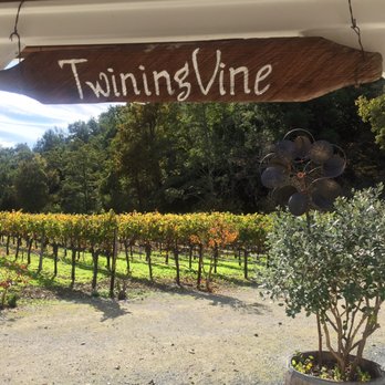 TwiningVine Winery - Sit and dine with friends - Wineries Near Me - Castro Valley, California