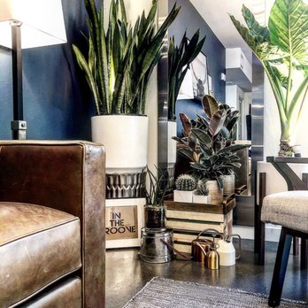 Venice Plants - Corner stylin. @doantrip - Nurseries & Gardening Near Me - Venice, California Venice Plants - Corner stylin. @doantrip - Nurseries & Gardening Near Me - Venice, California