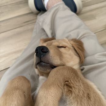 Pavilion Dental Group - Felt like this little guy while there! - General Dentistry Near Me - Peoria, Arizona Pavilion Dental Group - Felt like this little guy while there! - General Dentistry Near Me - Peoria, Arizona