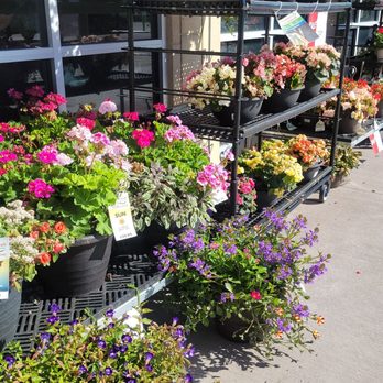 Coborn's - Grocery Near Me - Plymouth, Minnesota
