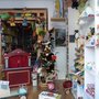 Photo of Ursinho a Galope