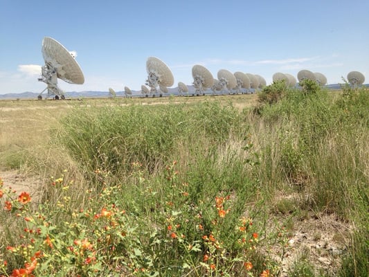 NRAO Very Large Array by null