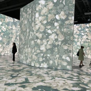 Beyond Van Gogh - Art Museums Near Me - Miami, Florida Beyond Van Gogh - Art Museums Near Me - Miami, Florida