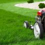 Photo of GrassZilla