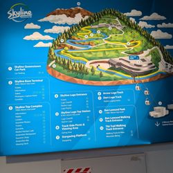 Skyline Gondola and Luge