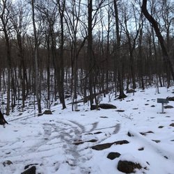 Camp Glen Gray