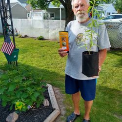 Eastern Monarch Butterfly Farm - The proud papa of a new butterfly-attracting milkweed from Eastern Monarch Farms, a happy Father's Day indeed!