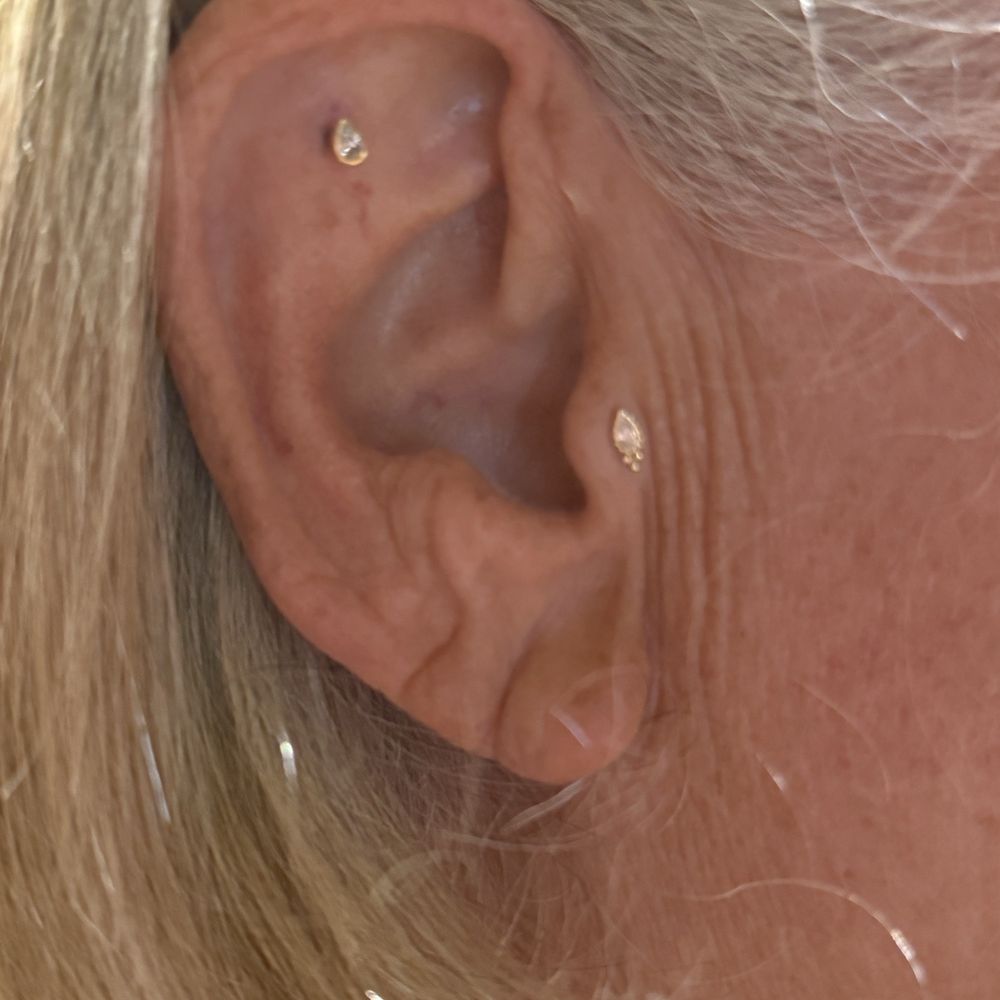 Chief Piercing - Piercing Near Me - Sacramento, California Chief Piercing - Piercing Near Me - Sacramento, California