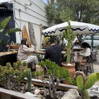 Salty Horse - Cafes Near Me - Costa Mesa, California Salty Horse - Cafes Near Me - Costa Mesa, California