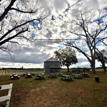 Branford Farm Stand - Mexican Near Me - Branford, Florida