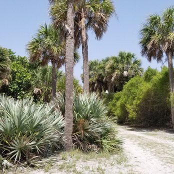 Indian Shores Beach - Path to the beach - Beaches Near Me Indian Shores Beach - Path to the beach - Beaches Near Me