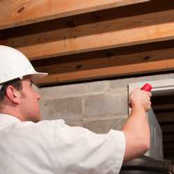 Accurate Termite & Pest Control
