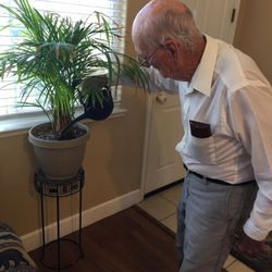 Amy's Eden Senior Care