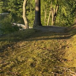 Panther Lake Camping Resort