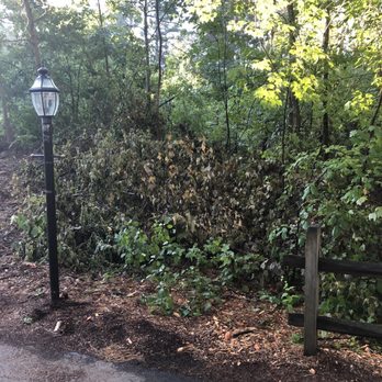 JSP Site Solutions - Debris that was never chipped - Tree Services Near Me - Ashby, Massachusetts